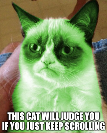 Picture of a grumpy cat with subtitle "This cat will judge you if you just keep scrolling"